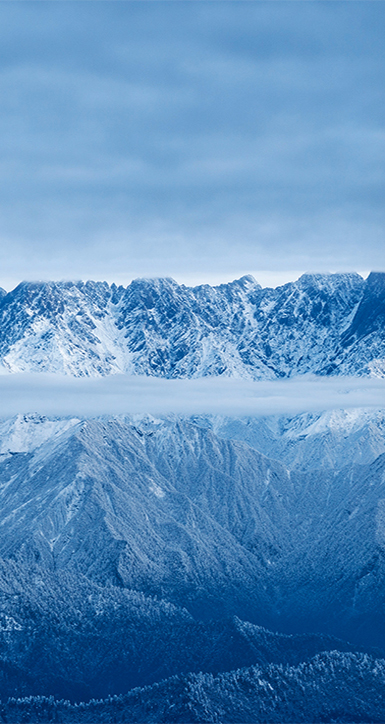 关于凯时登录入口